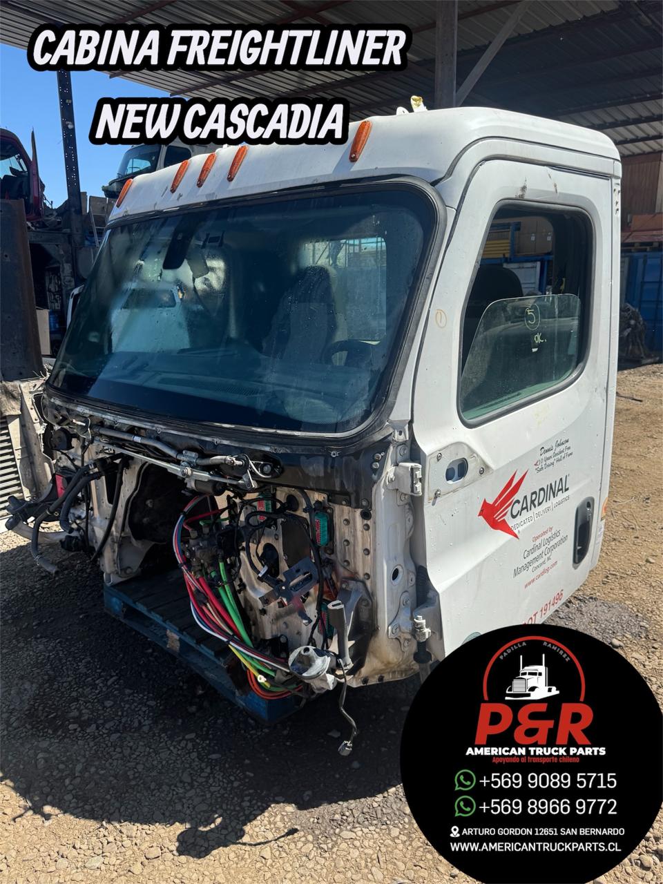 WhatsApp Image 2026-02-17 at 8.02.31 PM (8)